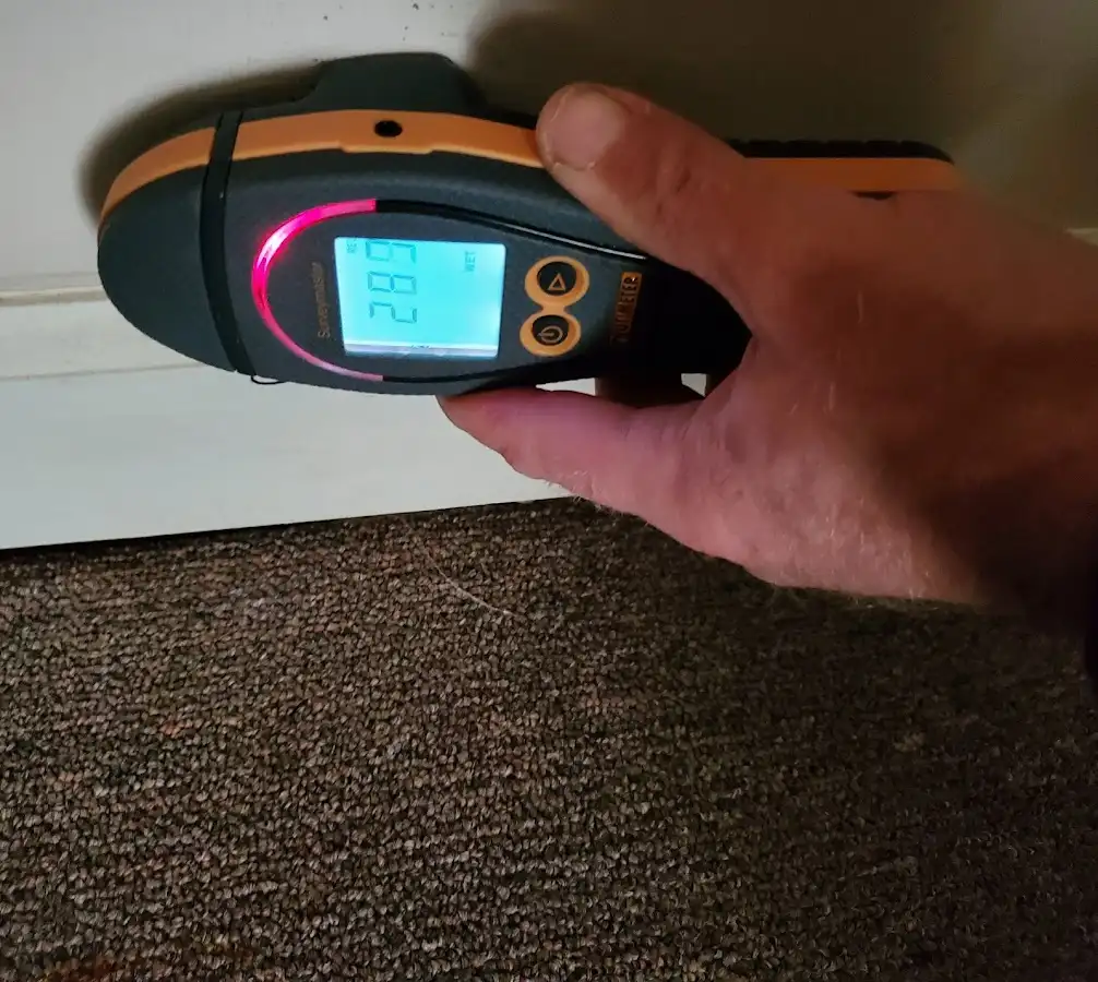 Moisture detection at baseboard during Sewage Cleanup & Sanitation in North Weeki Wachee